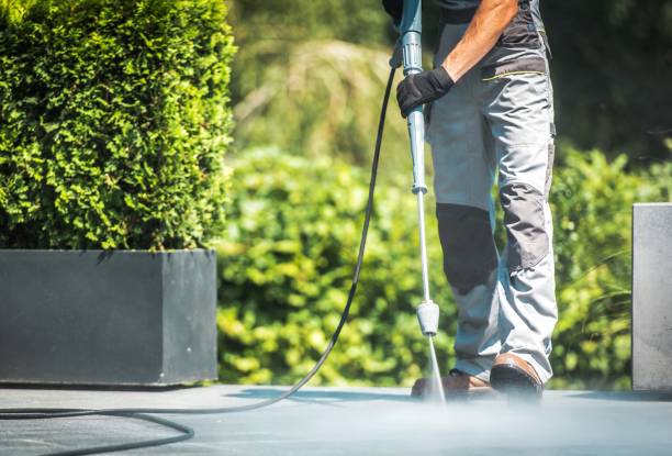 Animal Enclosure Cleaning in Peosta, IA